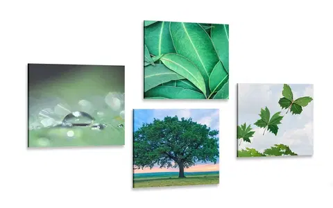 Sestavy obrazů Set obrazů příroda plná zeleně