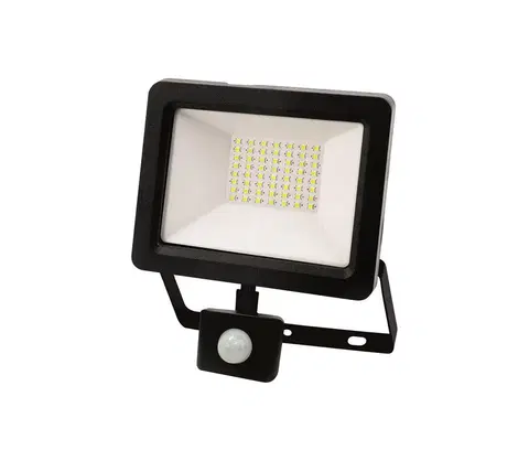 Zahradní lampy  LED reflektor se senzorem LED/30W/230V IP65 