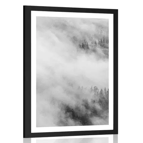 Černobílé Plakát s paspartou černobílý mlhavý les