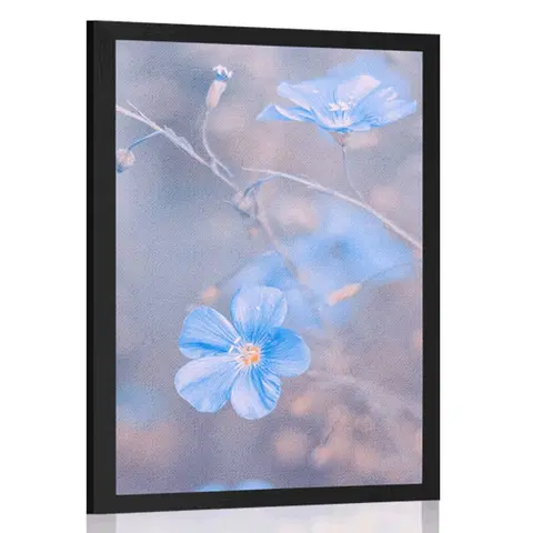 Květiny Plakát modré květiny na vintage pozadí