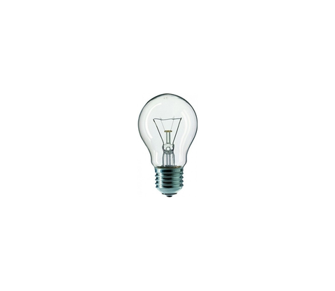 Žárovky  Průmyslová žárovka CLEAR A55 E27/25W/240V 
