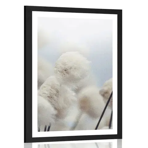 Květiny Plakát s paspartou arktické květiny bavlny