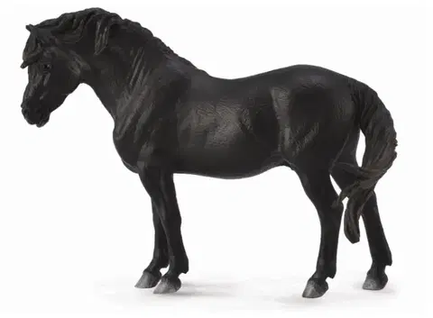 Hračky COLLECTA - Dartmoorský Pony - Černý