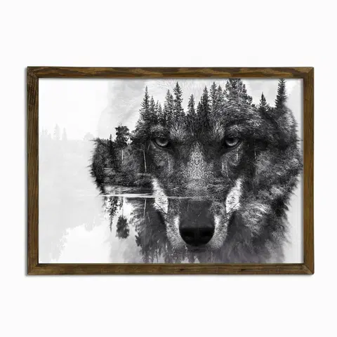 Obrazy Wallity Nástěnný obraz Wolf 50x70 cm černobílý