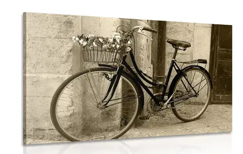 Černobílé obrazy Obraz rustikální kolo v sépiovém provedení