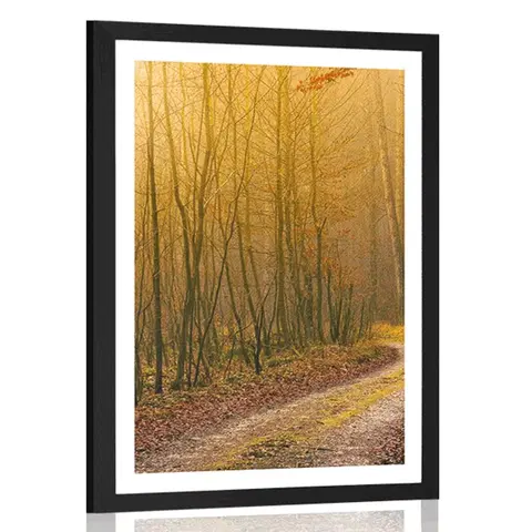 Příroda Plakát s paspartou cestička do lesa