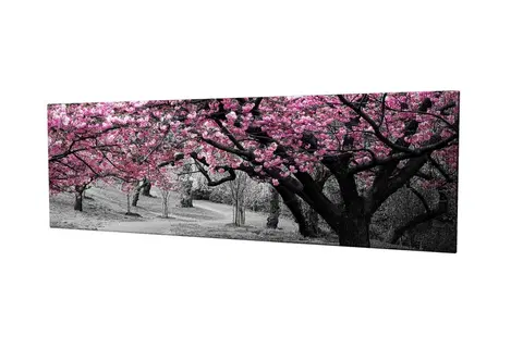 Obrazy Wallity Obraz na plátně Cherry tree alley PC017 30x80 cm