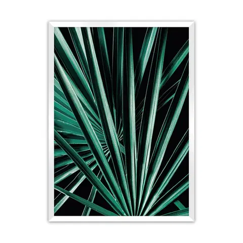 Obrazy a plakáty Plakát Dark Palm Tree
