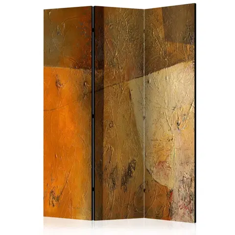 Paravány Paraván Modern Artistry Dekorhome 135x172 cm (3-dílný)