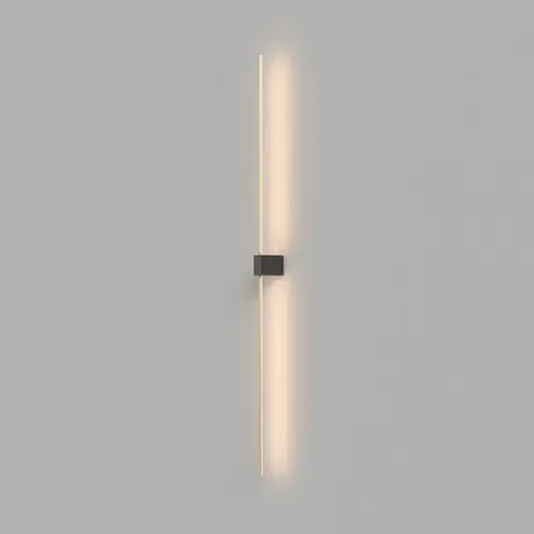 Designová nástěnná svítidla MAYTONI Nástěnné svítidlo Pars C071WL-L12GB3K