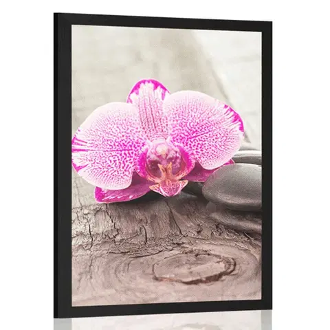 Květiny Plakát s paspartou orchidej a Zen kameny na dřevěném podkladu