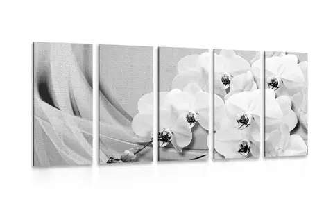 Černobílé obrazy 5-dílný obraz orchidej na plátně v černobílém provedení