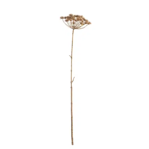 Umělé květiny Větvička Heracleum 125cm