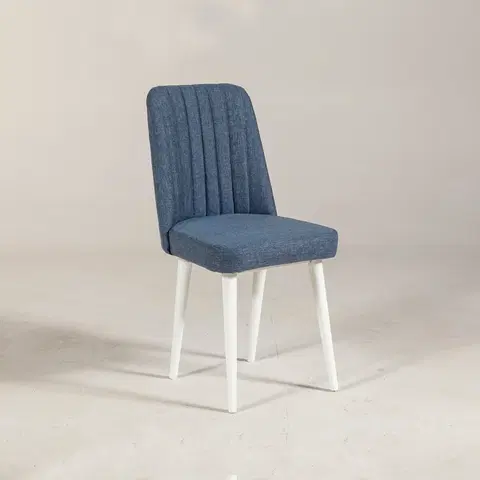 Kuchyňské a jídelní židle Jídelní židle VINA bílá modrá