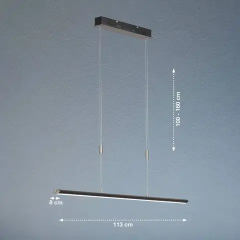 Závěsná světla FISCHER & HONSEL Závěsné svítidlo Beat LED, černá/niklová barva, délka 113 cm