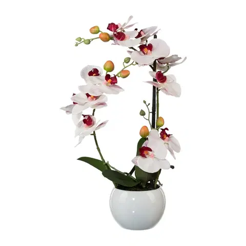 Květiny Umělá Orchidej v keramickém květináči bílá, 42 cm 1118033-10