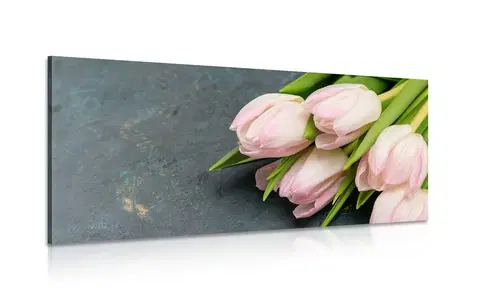 Obrazy květů Obraz pastelově růžové tulipány