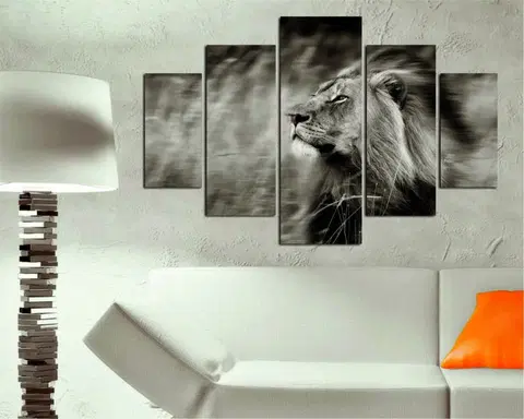 Obrazy Wallity Vícedílný obraz RUNNING LION 205 92 x 56 cm