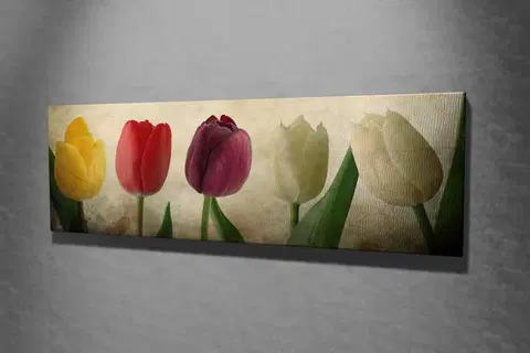Obrazy Hanah Home Obraz Tulipány 80x30 cm