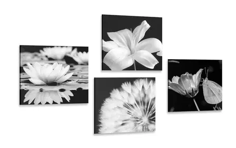 Sestavy obrazů Set obrazů květiny s motýlem v černobílém
