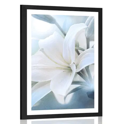 Květiny Plakát s paspartou bílý květ lilie na abstraktním pozadí
