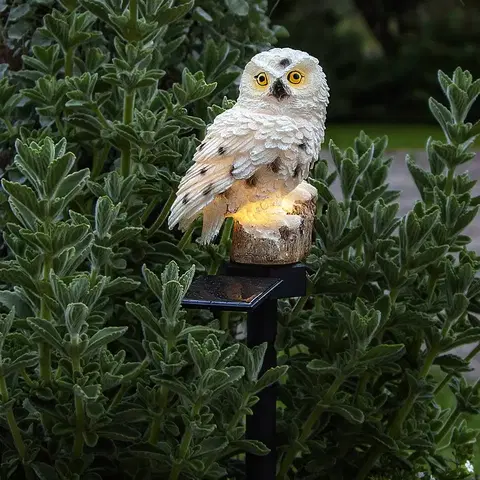Solární dekorace na zahradu STAR TRADING LED solární světlo Owl se zapichovacím hrotem