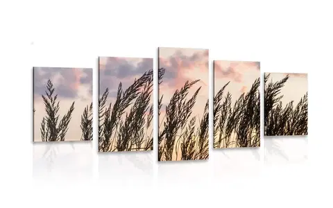 Obrazy přírody a krajiny 5-dílný obraz tráva při zapadajícím slunci