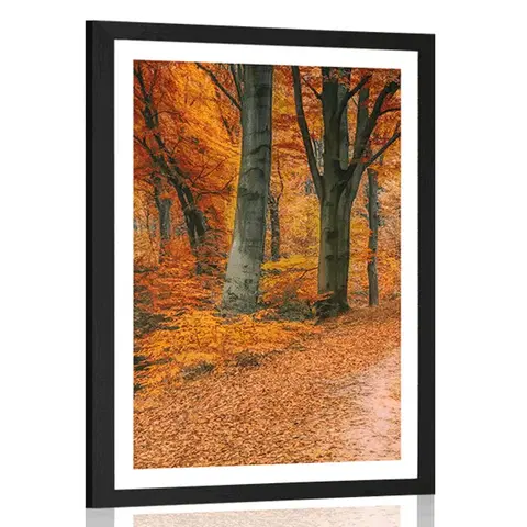 Příroda Plakát s paspartou les v podzimním období