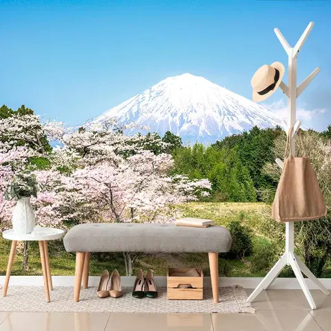 Samolepící tapety Samolepící fototapeta sopka Fuji