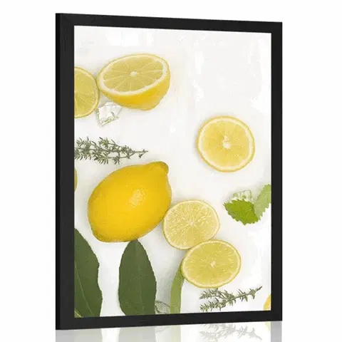 S kuchyňským motivem Plakát směs citrusových plodů