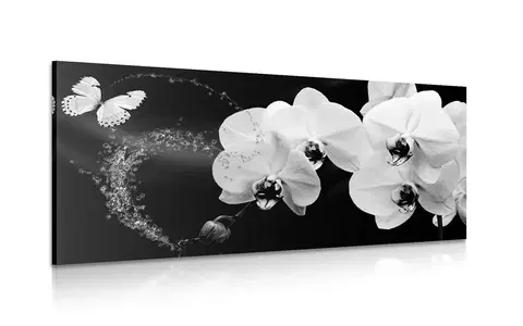 Černobílé obrazy Obraz černobílá orchidej a motýl