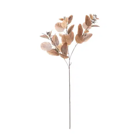 Umělé květiny Větev eukalyptu 80cm brown