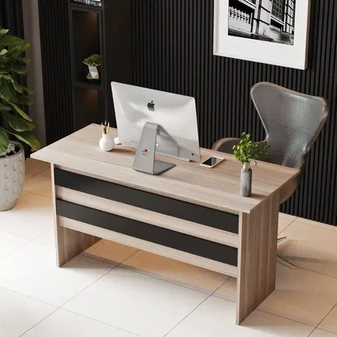 Kancelářské a psací stoly Psací stůl VARIO dub černý