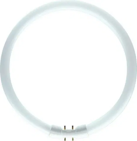 Kruhové zářivky Philips kruhová MASTER TL5 Circular 22W/840 2GX13