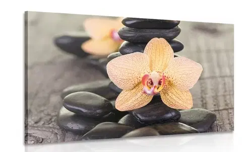 Obrazy Feng Shui Obraz žlutá orchidej a Zen kameny