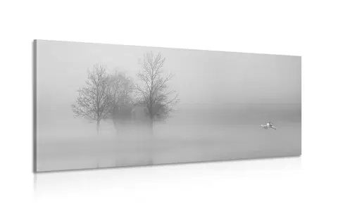 Černobílé obrazy Obraz stromy v mlze v černobílém provedení
