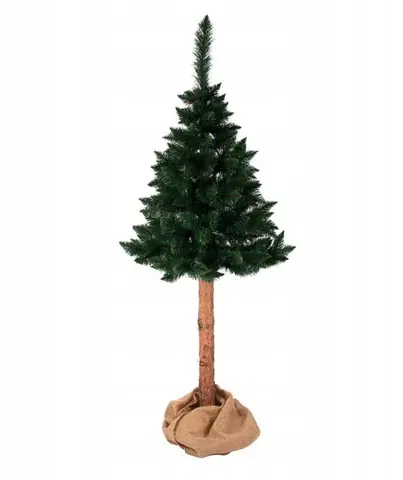 Vánoční stromky Netradiční vánoční borovice himálajská na pařezu 220 cm