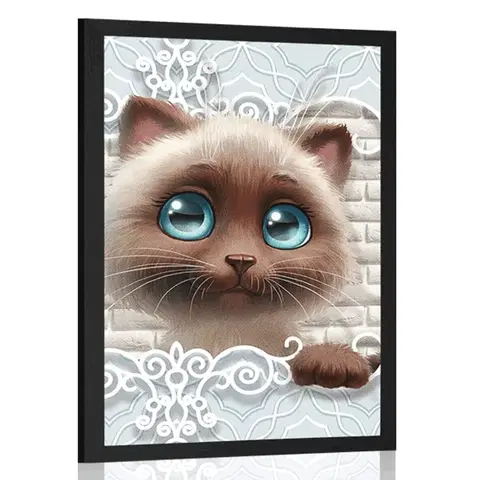 Zvířátka Plakát roztomilé kotě