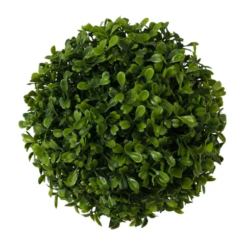 Květiny Buxusová koule zelená, pr. 18 cm