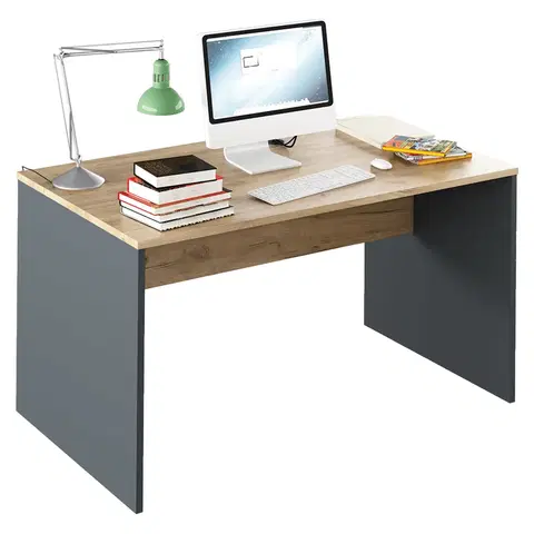 Kancelářské skříně PC stůl, Rioma TYP 11 0000185732 Tempo Kondela Grafit / dub artisan