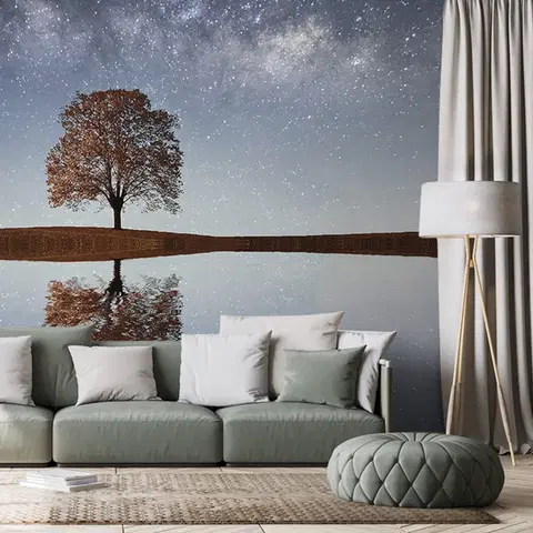 Tapety příroda Fototapeta hvězdná obloha nad osamělým stromem