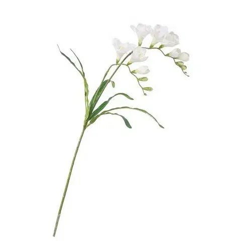 Květiny Umělá květina Frézie bílá, 57 cm