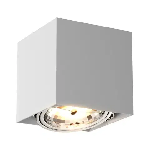 Moderní stropní svítidla ZUMALINE Bodové svítidlo BOX SL 1 89947