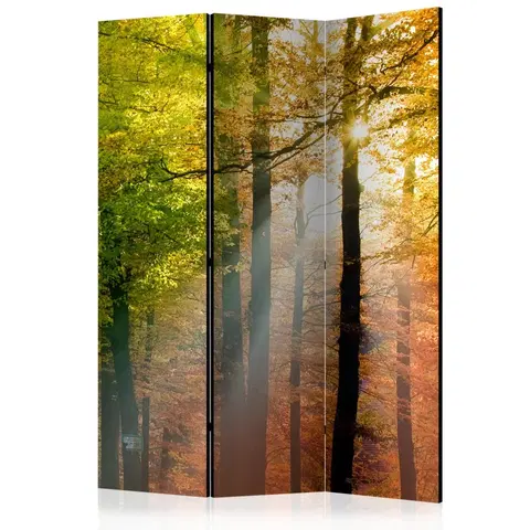 Paravány Paraván Forest Colours Dekorhome 135x172 cm (3-dílný)