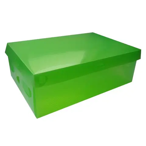 Úložné boxy TZB Úložná krabice na boty vel. S - zelená