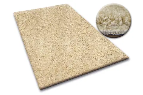 Koberce a koberečky Dywany Lusczow Kusový koberec SHAGGY Izebelie 5cm česnekový, velikost 170x230