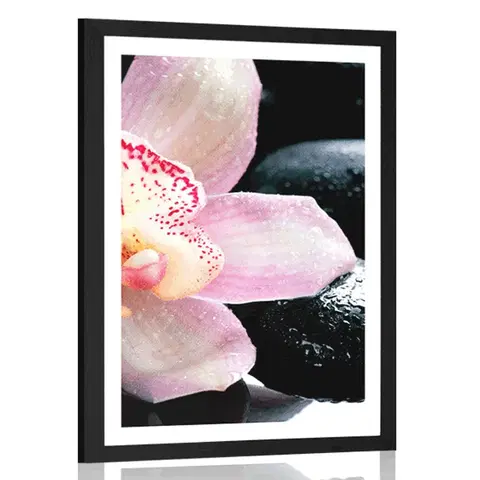 Feng Shui Plakát s paspartou exotická orchidej