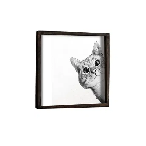 Obrazy Wallity Nástěnný obraz Cat 33x33 cm černobílý