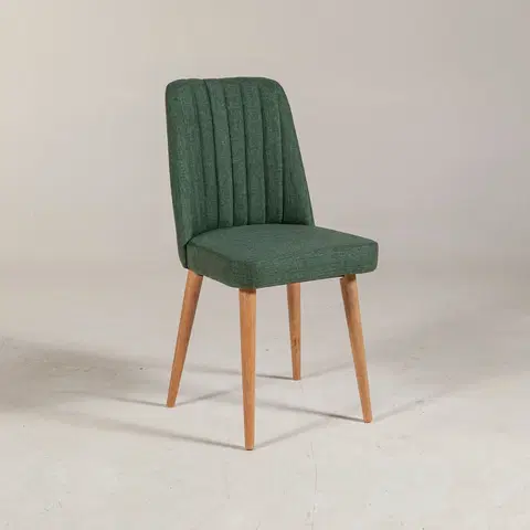 Kuchyňské a jídelní židle Jídelní židle VINA borovice atlantic zelená