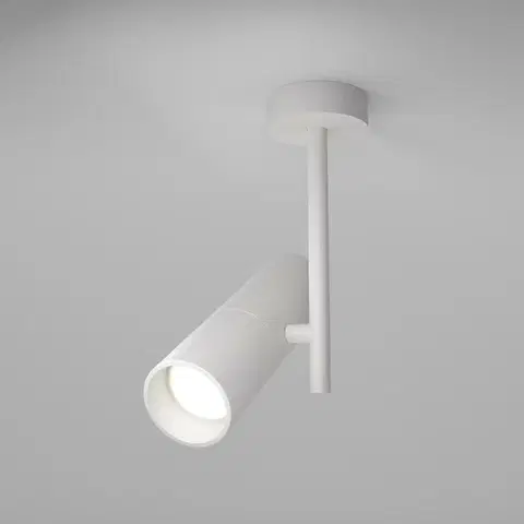 Moderní stropní svítidla MAYTONI Stropní svítidlo Elti C020CL-01W
